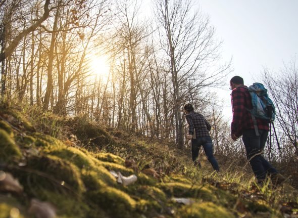 young-couple-walking-forest